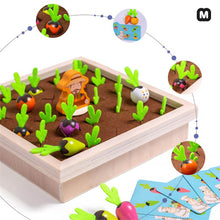 Charger l'image dans la galerie, Jeu MEMOTAGES™